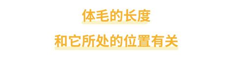 背上長白毛|身上有一根毛特別長，是長壽象徵，還是癌變前兆？